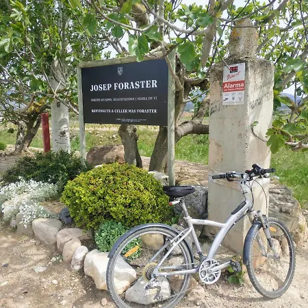 La Terrasseta