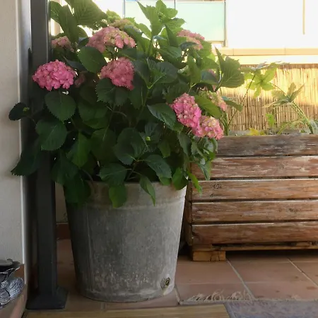 La Terrasseta